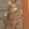 brunoo8.2025