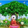 lamtruongngoc4