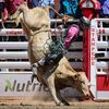 ridingrank_makingbank