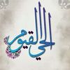 saidaperveen8