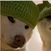 randomdogeee