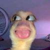 syrfhaqlh__