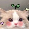 _aair4qq