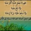 user267281825382