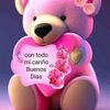 saris17.03