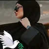 shams_3066