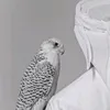 rayyanelakad.4
