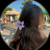 topbutterfly29