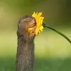 dailyviral18
