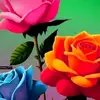 fhattima.nistha