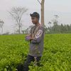 badshaali082