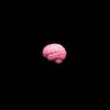 🧠