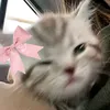 xiaaaa_56