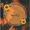 zainibali17