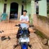 bng.ardi