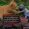 mggwaytitchanpain232632
