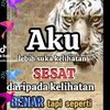 budi.antonio16