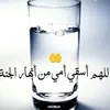 hanan2675