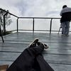 terepscc