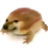 landro_a