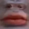 4crayterry