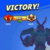 pedrii_nobs