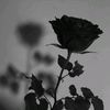 eca_12_istrste