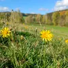 natur.live.4you