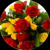ceylan_6556
