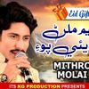 aijazalizardari356