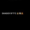 SHAGGY B*T*C💰💸🔕