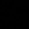 n_vee5