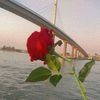 zhr_769