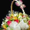 amir.khan57508