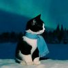 sonic_migato