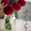 soeet_alreem