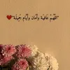 mmoollmm123