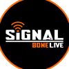 SIGNAL BONE LIVE
