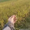 lienthi160492