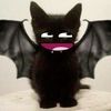 local_bat_bitch