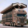 user9762061955409