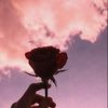 ssxmy9