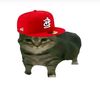 yoselis777