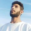 pq_al88