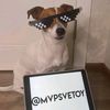 mvp_svetoy1