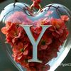 yasmine.mohamed7084