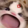 maianh_koc