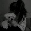 user2314506210044