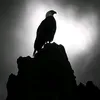 ing_00601