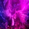 nicolpmldqo